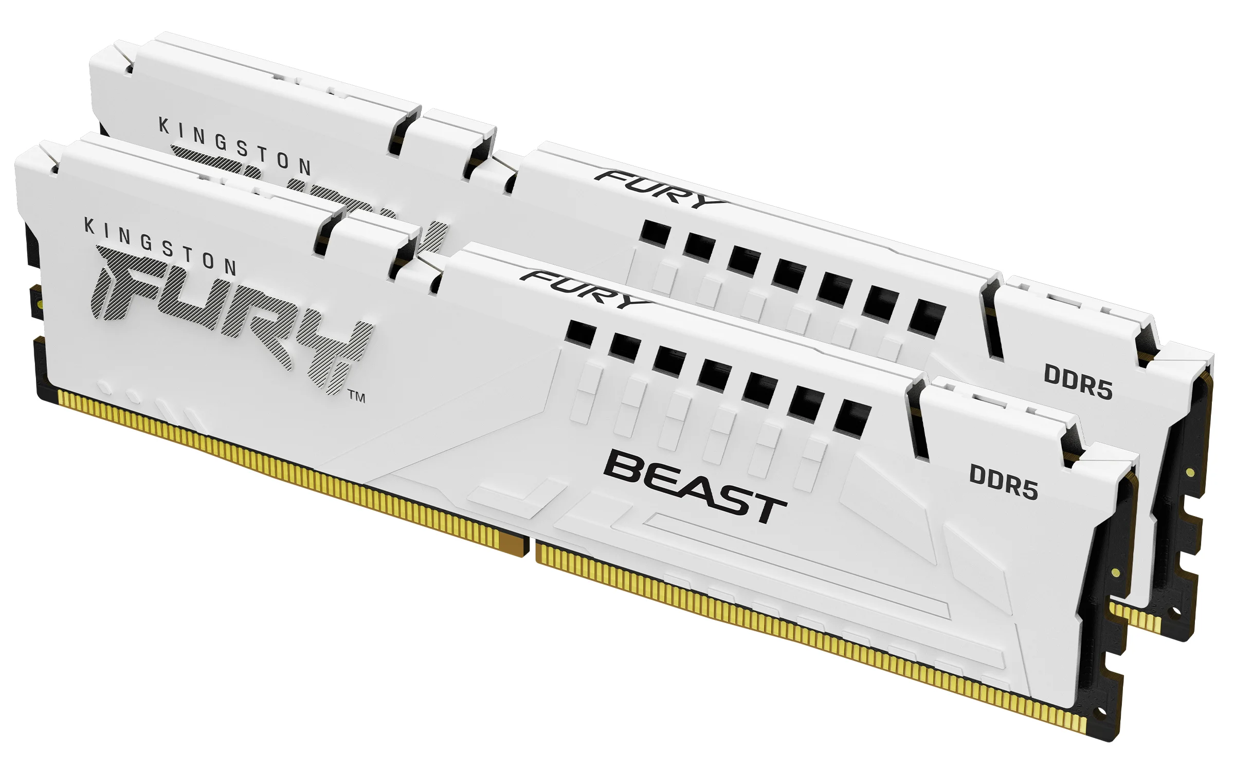 Kingston Technology FURY Beast 64GB 6000MT/s DDR5 CL36 DIMM (2er-Kit) White EXPO