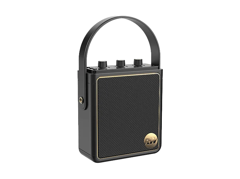PEAQ ICONIC Vibe 5, PPA 540-RW Retro Bluetooth Lautsprecher, Schwarz mit goldenen Elementen, Wasserfest